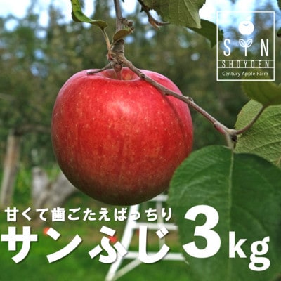 松陽園の樹上 完熟 りんご サンフジ 3kg 岩手県 遠野市 産