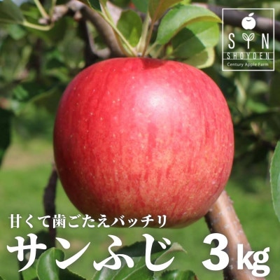 りんご サンふじ 3kg 令和8年 産 松陽園 岩手県 遠野市 2026年12月上旬発送予定