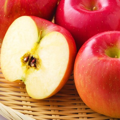 りんご サンふじ 3kg 令和8年 産 松陽園 岩手県 遠野市 2026年12月上旬発送予定