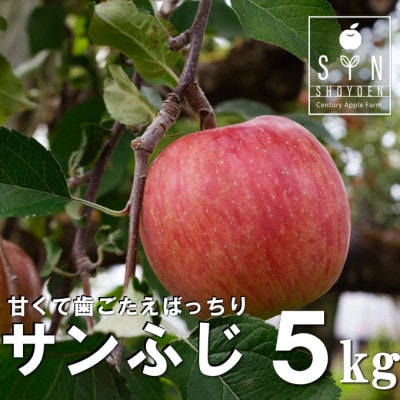 松陽園の樹上 完熟 りんご サンフジ 5kg 岩手県 遠野市 産