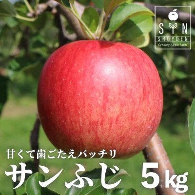 りんご サンふじ 5kg 令和8年 産 松陽園 岩手県 遠野市 2026年12月上旬発送予定