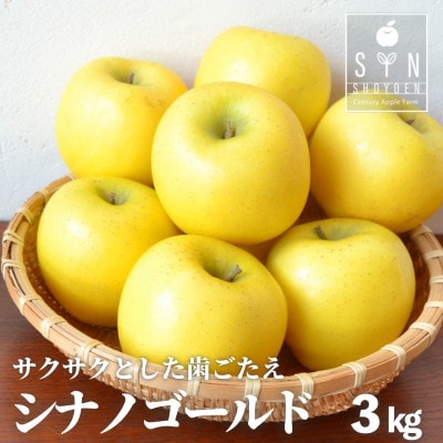 りんご シナノゴールド 3kg 松陽園 樹上 完熟 農家直送 岩手県 遠野市