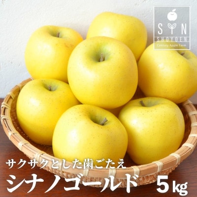 りんご シナノゴールド 5kg 松陽園 樹上 完熟 農家直送 岩手県 遠野市