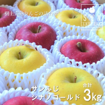 松陽園の樹上完熟 りんご 食べ比べセット サンふじ シナノゴールド 合計 3kg  農家直送