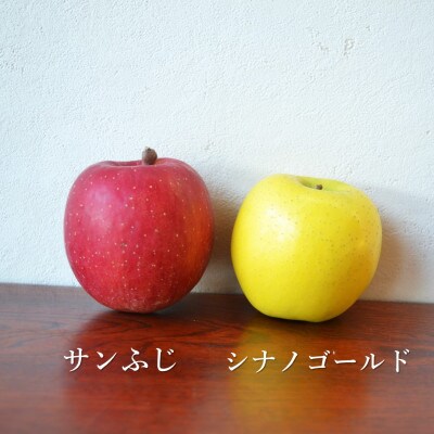 松陽園の樹上完熟 りんご 食べ比べセット サンふじ シナノゴールド 合計 3kg  農家直送