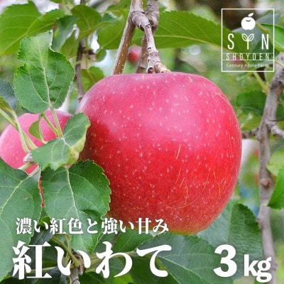 りんご 紅いわて 3kg 松陽園 樹上 完熟りんご 農家直送 先行予約