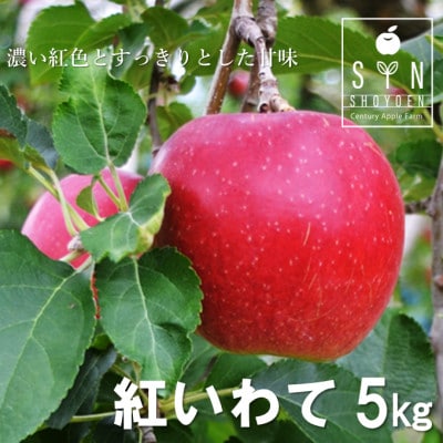 松陽園 樹上 完熟りんご 紅いわて 5kg 農家直送