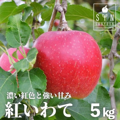 りんご 紅いわて 5kg 松陽園 樹上 完熟 農家直送 岩手県 遠野市 先行予約