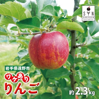 【訳あり】樹上完熟 りんご (約2.3kg) / 岩手県 遠野市産 松陽園 品種おまかせ