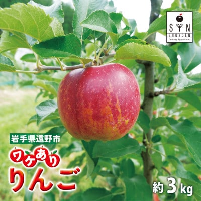 【訳あり】りんご (約3kg) / 岩手県 遠野市産 松陽園 品種おまかせ