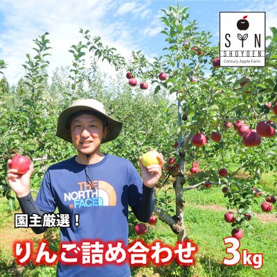 園主 厳選 りんご 詰め合わせ 3kg 松陽園 / 岩手県 遠野市 産