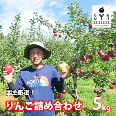 園主 厳選 りんご 詰め合わせ 5kg 松陽園 / 岩手県 遠野市 産