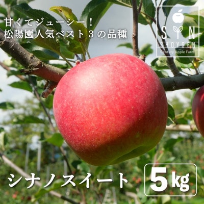 先行予約 松陽園の樹上 完熟 りんご シナノスイート 5kg 岩手県 遠野市産 農家直送