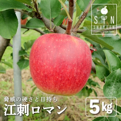 りんご 早生 江刺ロマン 5kg 松陽園 樹上完熟 農家直送 岩手県 遠野市 先行予約