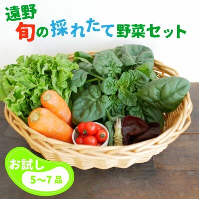 旬のとれたて野菜セット(5~7品)【お試し版】