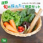 旬のとれたて野菜セット(7~10品)レギュラーサイズ【こんたでぃーの遠野】