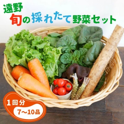 旬の採れたて野菜セット(7~10品目)~いっぺ食べろよ~