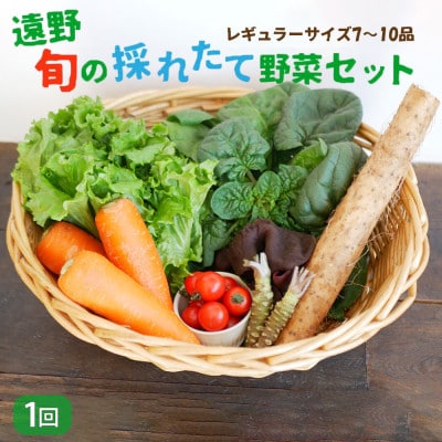 旬のとれたて野菜セット(7~10品)レギュラーサイズ【こんたでぃーの遠野】