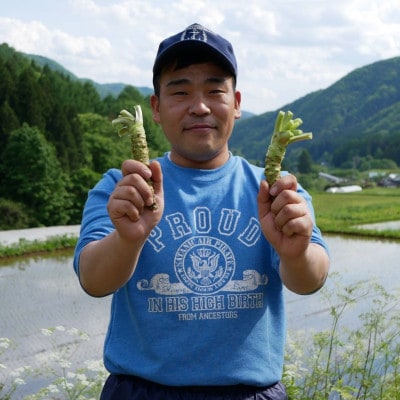 マルカツわさび　大サイズ 1本 岩手県遠野市産 【こんたでぃーの遠野】