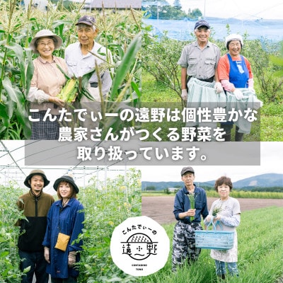 マルカツわさび　大サイズ 1本 岩手県遠野市産 【こんたでぃーの遠野】