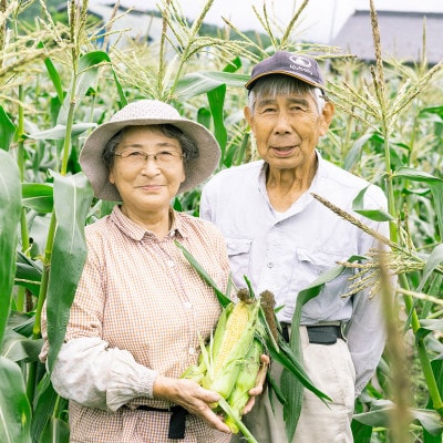 とうもろこし 味来 約5kg 2L サイズ 12～14本 7月下旬より順次発送【こんたでぃーの遠野】