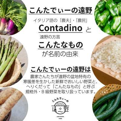 とうもろこし 味来 約5kg 2L サイズ 12～14本 7月下旬より順次発送【こんたでぃーの遠野】