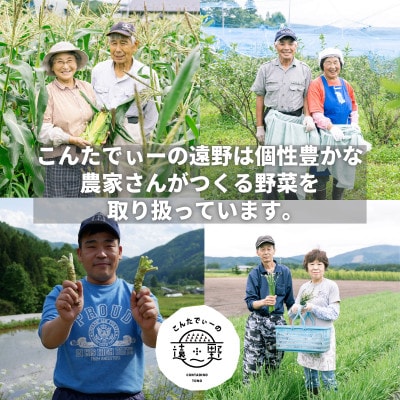 とうもろこし 味来 約5kg 2L サイズ 12～14本 7月下旬より順次発送【こんたでぃーの遠野】