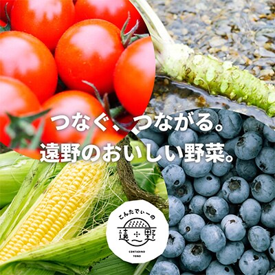 【2ヵ月毎定期便】旬の採れたて野菜セット(7～10品目)全6回
