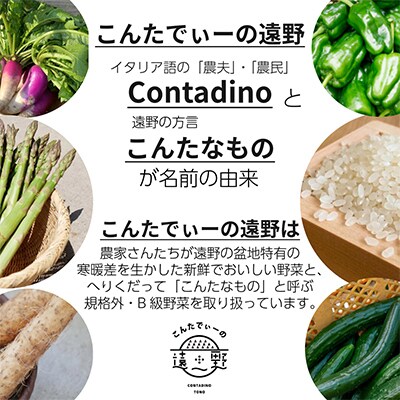 【2ヵ月毎定期便】旬の採れたて野菜セット(7～10品目)全6回