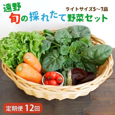 【毎月定期便】旬のとれたて野菜セット(5～7品)ライトサイズ【こんたでぃーの遠野】全12回
