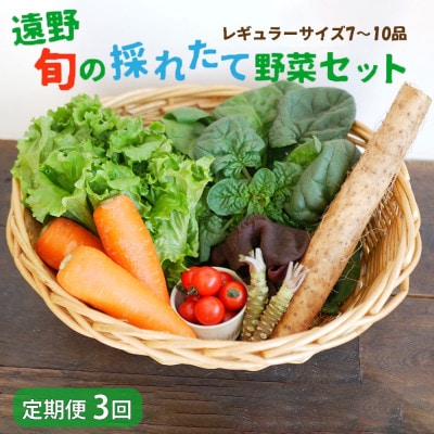 【毎月定期便】旬のとれたて野菜セット(7～10品)レギュラーサイズ【こんたでぃーの遠野】全3回
