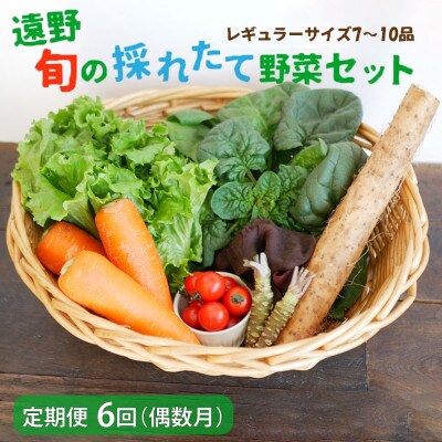 【発送月固定定期便】偶数月発送 旬のとれたて野菜セット(7～10品)レギュラーサイズ全6回