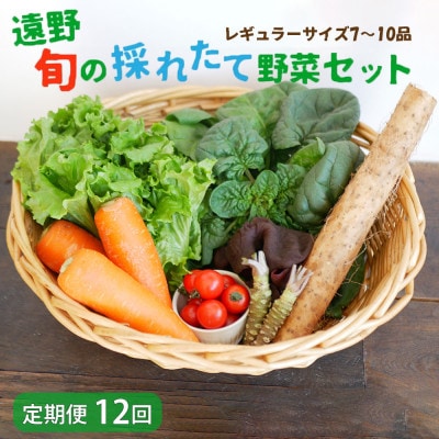 【毎月定期便】旬のとれたて野菜セット(7～10品)レギュラーサイズ【こんたでぃーの遠野】全12回