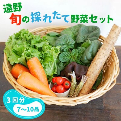 2023年3月発送開始『定期便』旬の採れたて野菜セット(7~10品目)全3回