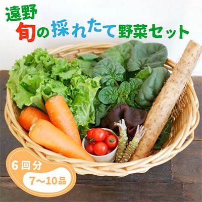 2023年3月発送開始『定期便』旬の採れたて野菜セット(7~10品目)全6回