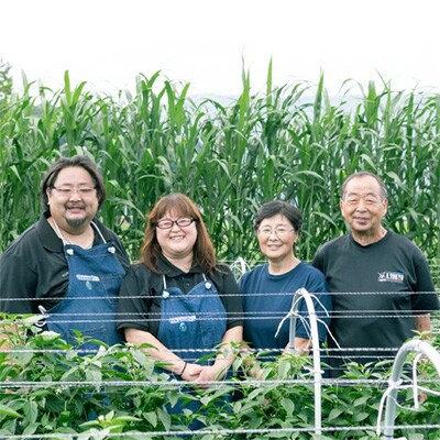 2023年3月発送開始『定期便』旬の採れたて野菜セット(7~10品目)全6回