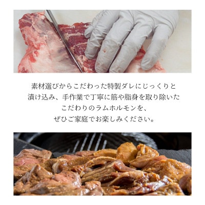 特製タレ 味付き ジンギスカン ラムミックスホルモン 500g 2～3人前 遠野ジンギスカン羊丸・道