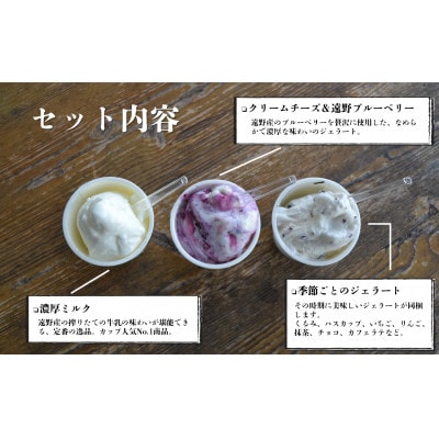 遠野酪農舎 ジェラート 130ml 12個 食べ比べ セット