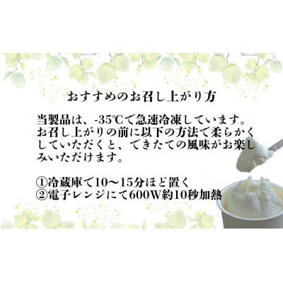 遠野酪農舎 ジェラート 130ml 12個 食べ比べ セット