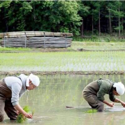 とおの どぶろく 速醸生 500ml×2本セット/有限会社松田酒店 岩手県 遠野市 冷凍発送