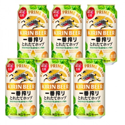 キリン 一番搾り とれたてホップ & 遠野麦酒ZUMONA おまかせ 12本セット