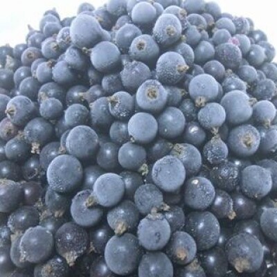 冷凍 カシス 1kg 完熟収穫 栽培期間中 農薬不使用 農家 直送 / 遠野もぐもぐカントリー