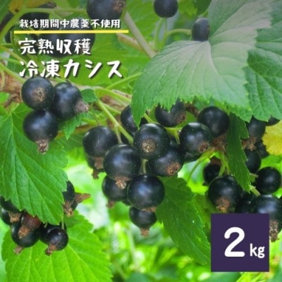 冷凍 カシス 2kg 完熟収穫 栽培期間中 農薬不使用 農家 直送 / 遠野もぐもぐカントリー