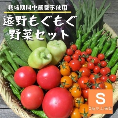 夏野菜セット 8種 Sサイズ 栽培期間中農薬不使用 岩手県 遠野市 遠野もぐもぐカントリー