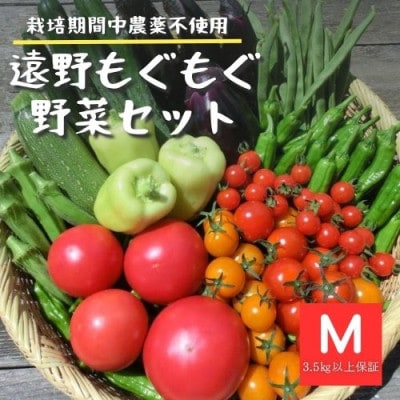 夏野菜セット 10種 Mサイズ 栽培期間中農薬不使用 岩手県 遠野市 遠野もぐもぐカントリー