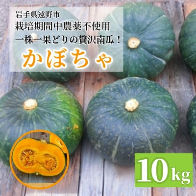 かぼちゃ(10kg)栽培期間中農薬不使用 甘い粉質系を凝縮 / 遠野もぐもぐカントリー 岩手県遠野市