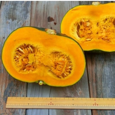 かぼちゃ(10kg)栽培期間中農薬不使用 甘い粉質系を凝縮 / 遠野もぐもぐカントリー 岩手県遠野市