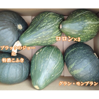 【4種のブランド栗かぼちゃ】食べごろ(10kg)栽培期間中農薬不使用  / 遠野もぐもぐカントリー