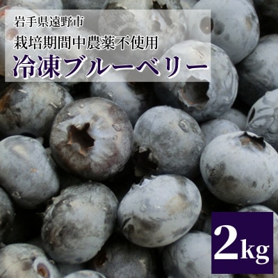 冷凍 ブルーベリー 2kg 栽培期間中 農薬不使用 農家 直送 / 遠野もぐもぐカントリー