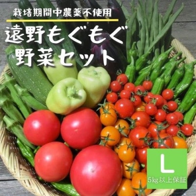 野菜セット 10～12種 Lサイズ 栽培期間中農薬不使用 岩手県 遠野市 遠野もぐもぐカントリー